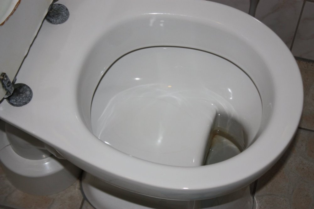german-toilet